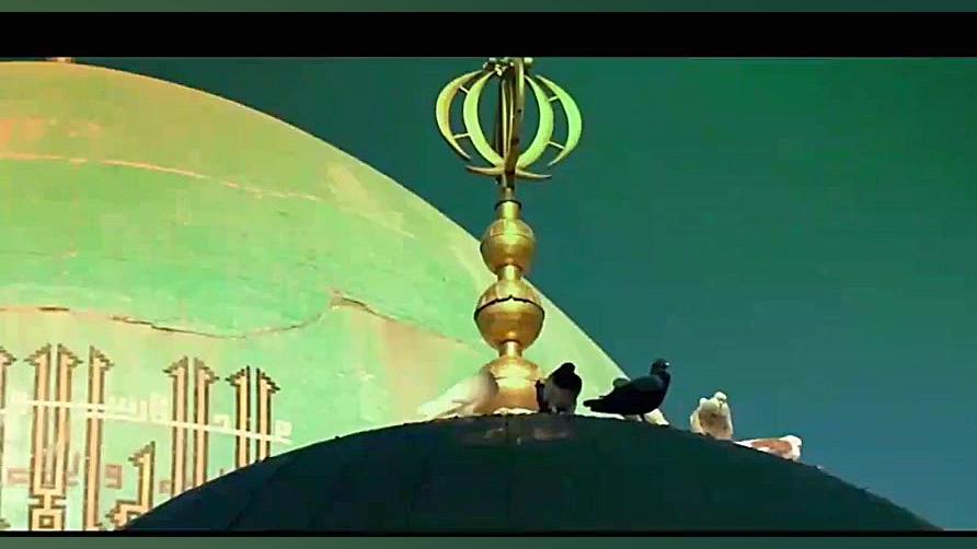 حال و هوای زیارت امام رضا ع