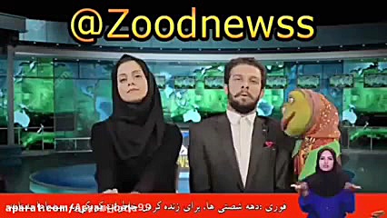 اخبار زود نیوز صادرات قورباغه