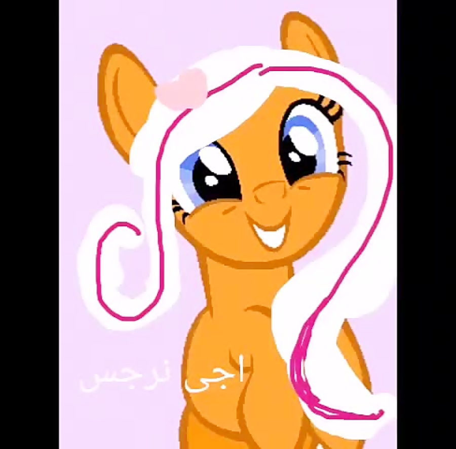 تصور اجیام..پونی