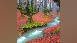 قران