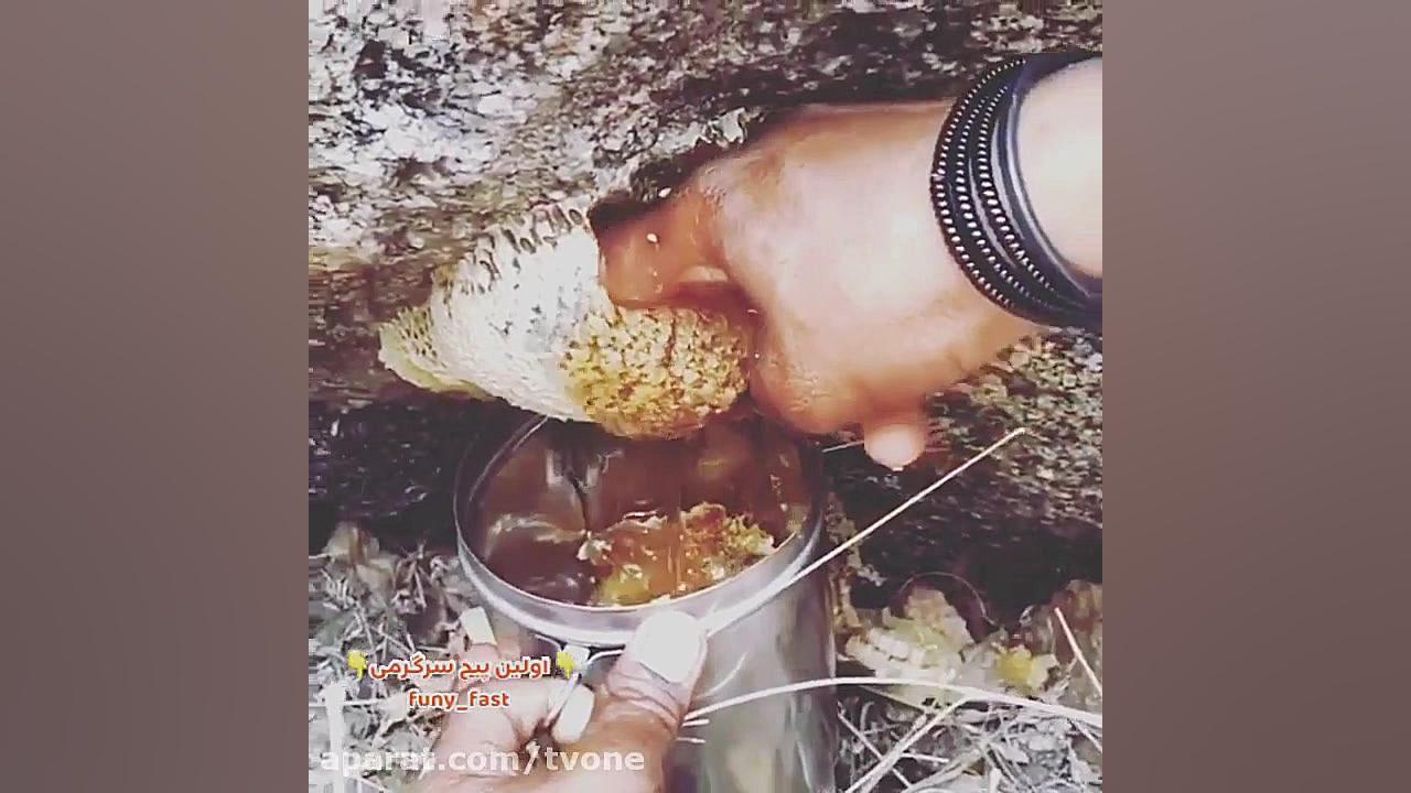 عسل وحشی درمان هر درد