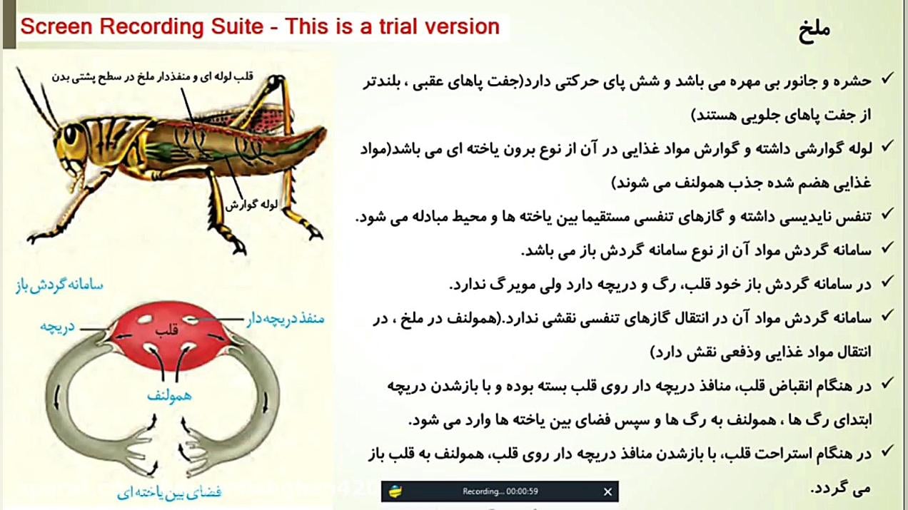 جلسه سی و چهارم تدریس زیست دهم