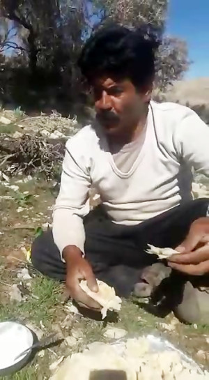 داروی کرونا