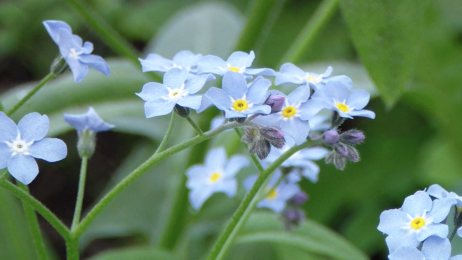 رویکردی مؤمنانه به بلایا و ناک...