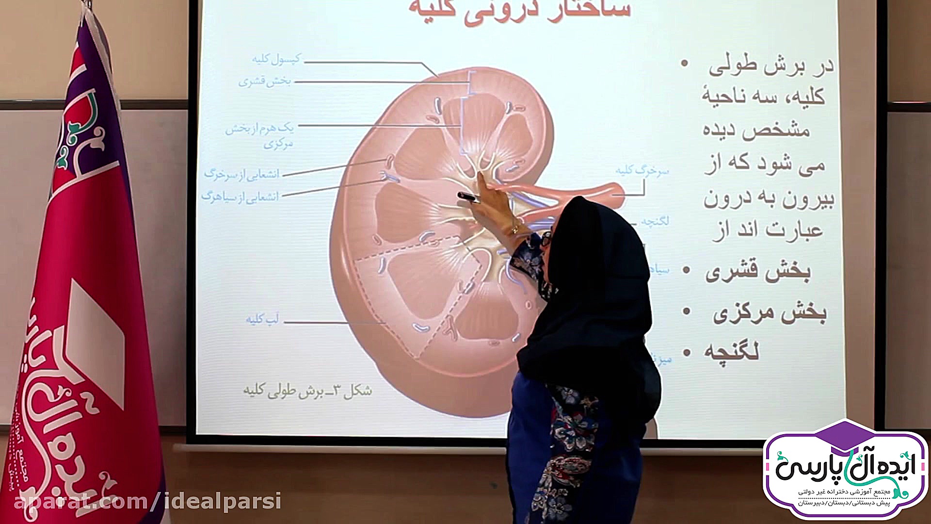 تدریس کتاب زیست شناسی پایه دهم...