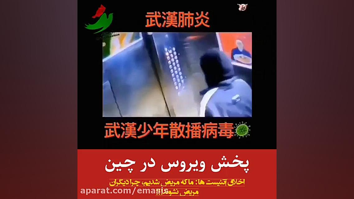 پخش ویروس کرونا در چین