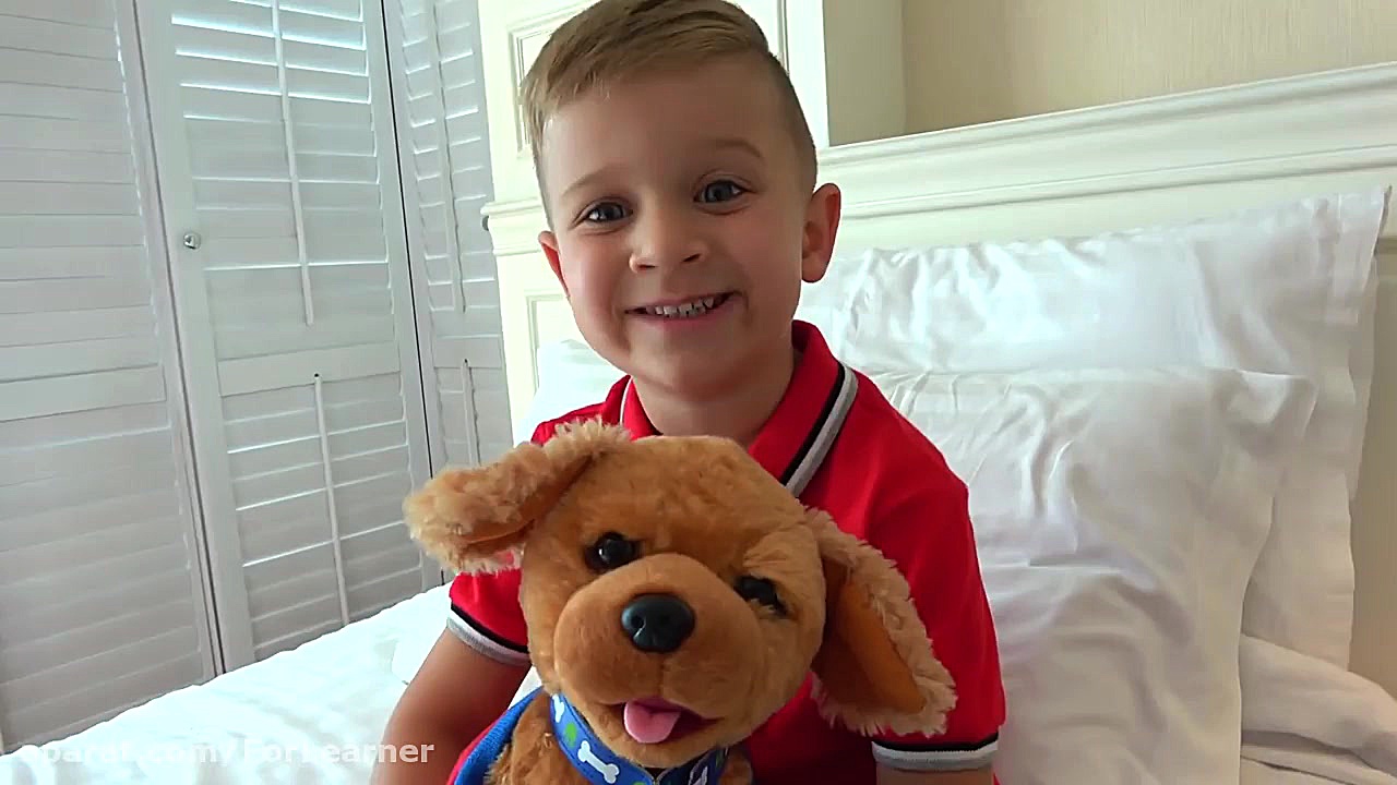 ماجراهای دیانا  بستنی