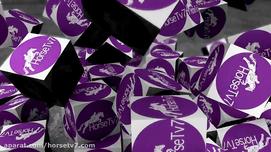 مسابقات سوارکاری ROTTERDAM2019...