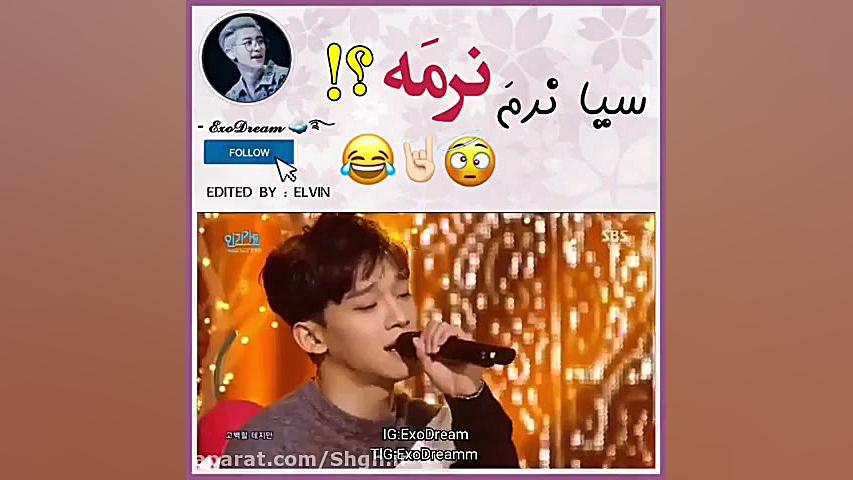 اکسو  سیا نرمه نرمه !