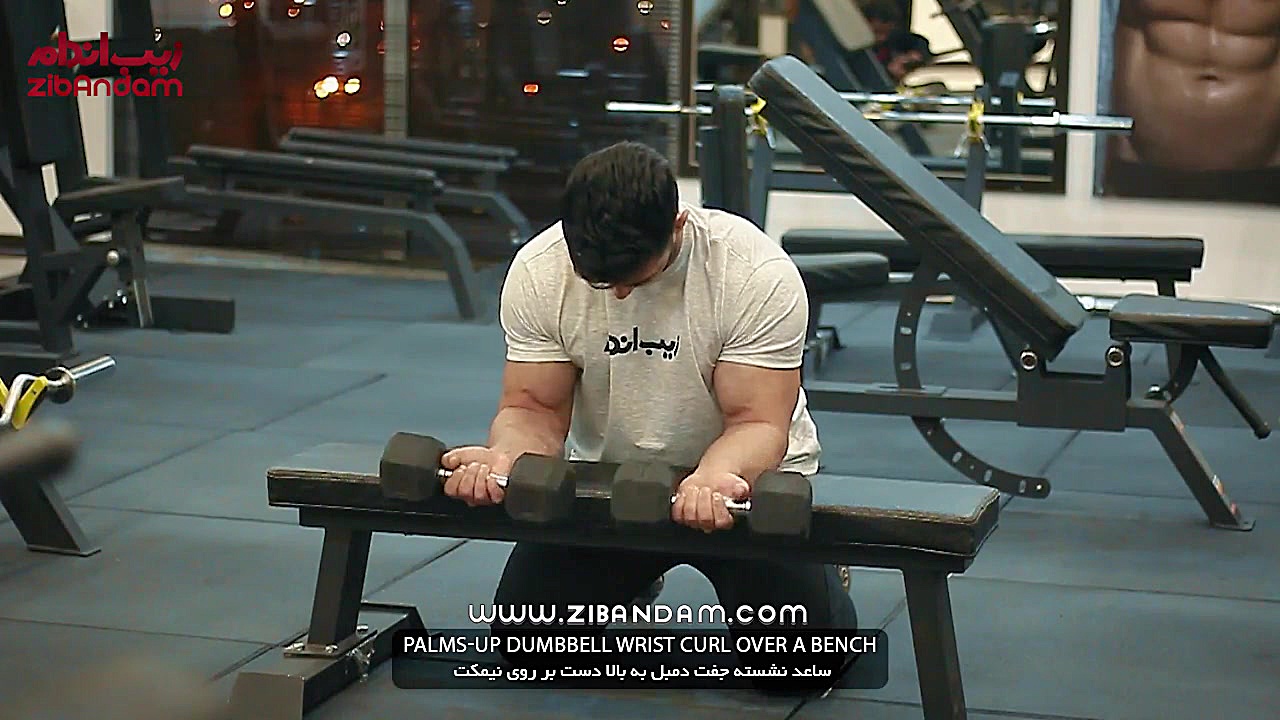 حرکات تمرینی بدنسازی  ساعد نشس...