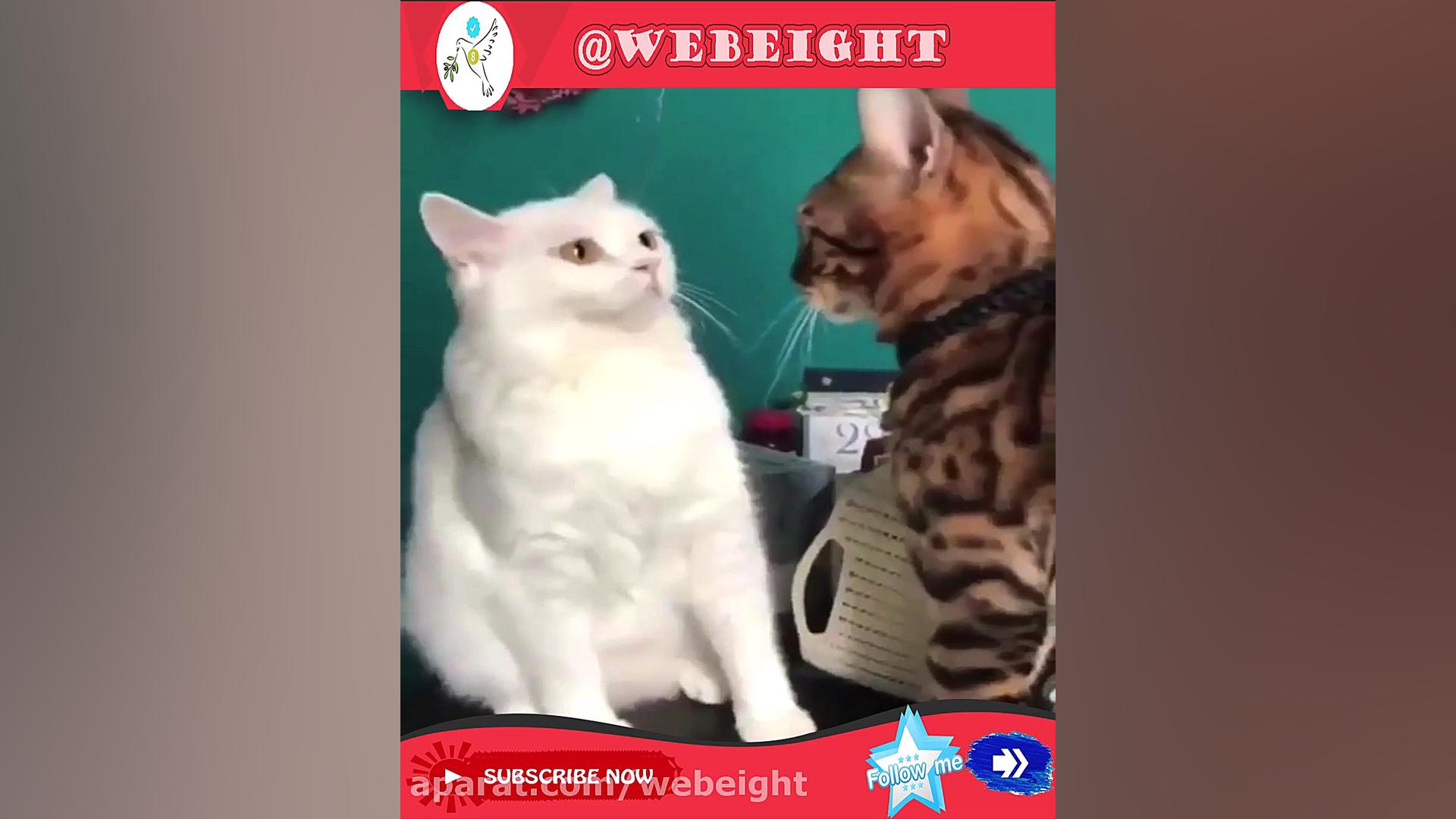 نزدیک بود دعوا بشه.. خشمشو فرو...