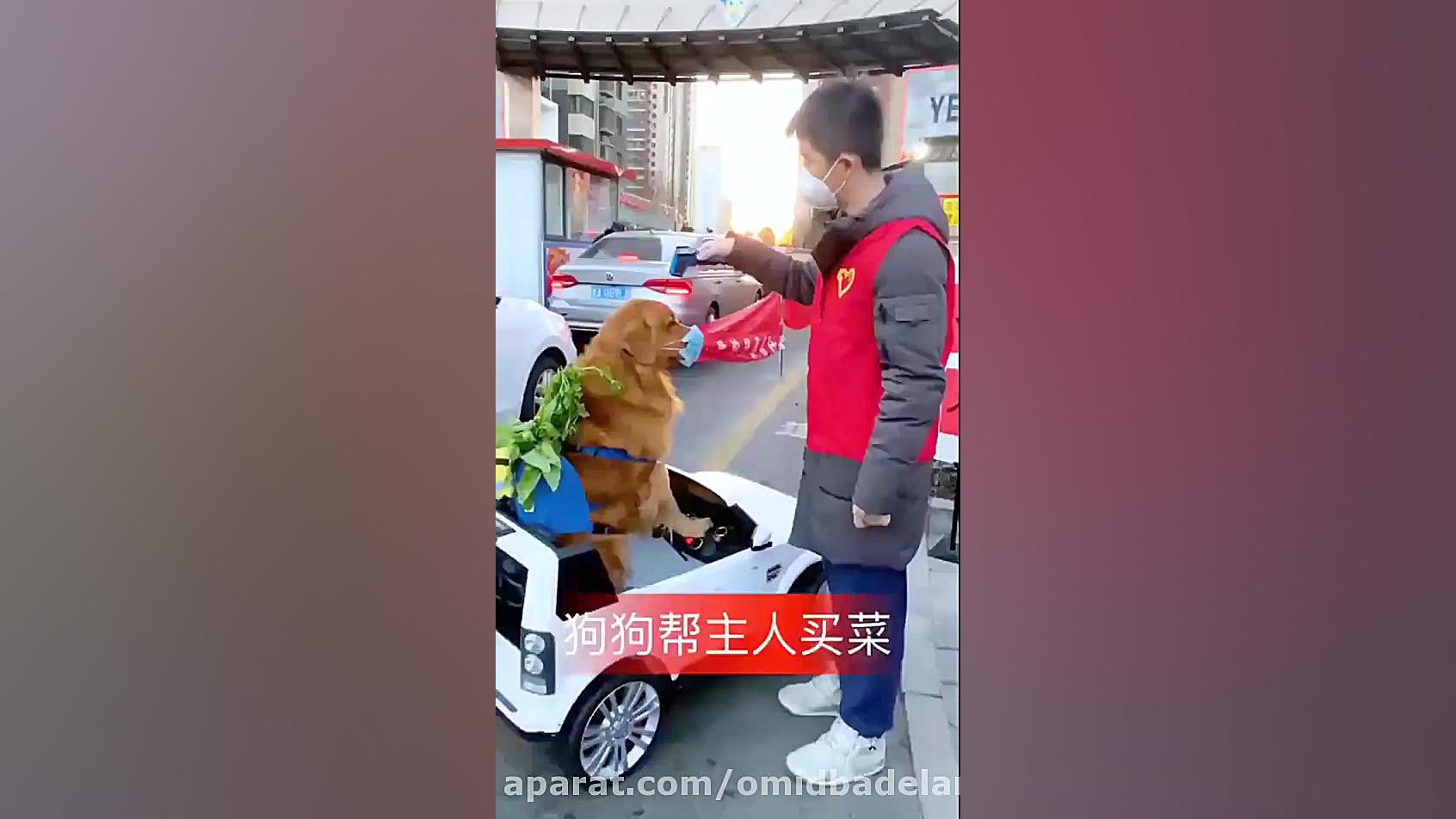 کرونا در چین