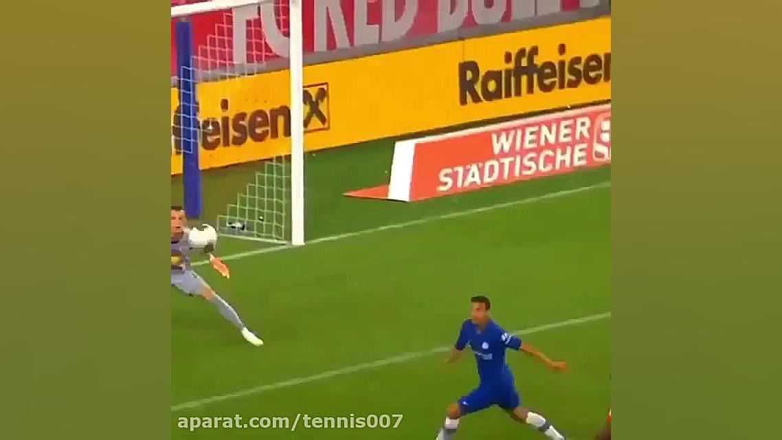 زیباترین گل ها در مستطیل سبز