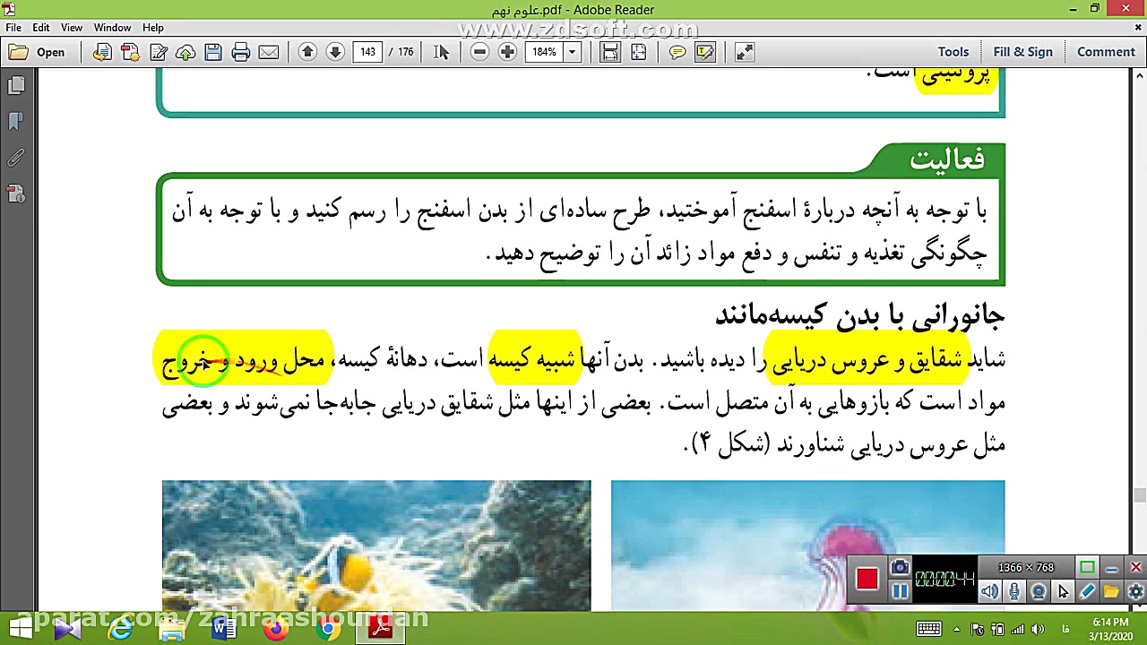 بی مهره2 زهرا آشوردن