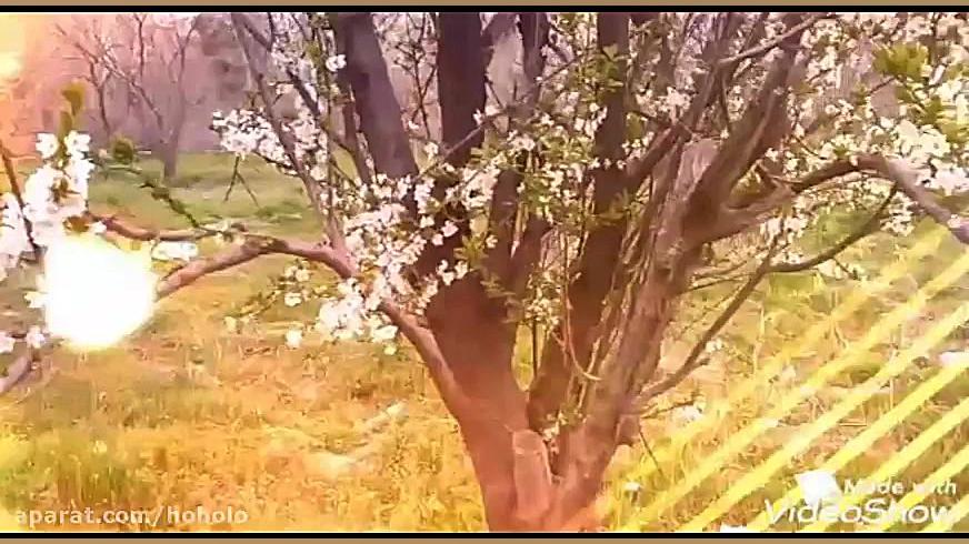 آهنگ نفس علی عباسی(گلچین)