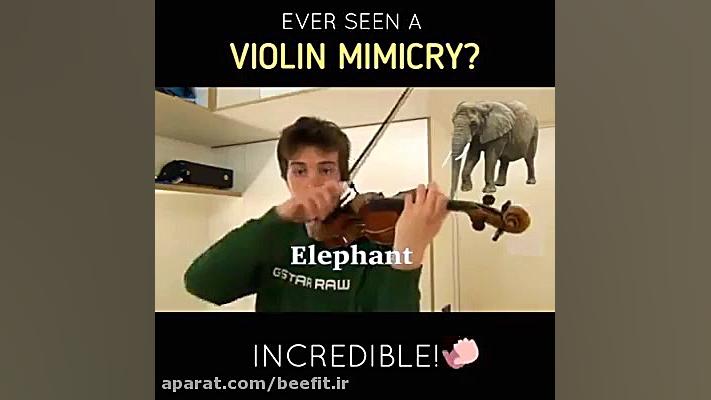 ویالن و صدای حیوانات(تنظیم برن...