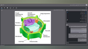 ازیاخته تا گیاه فصل ششم دهم تج...