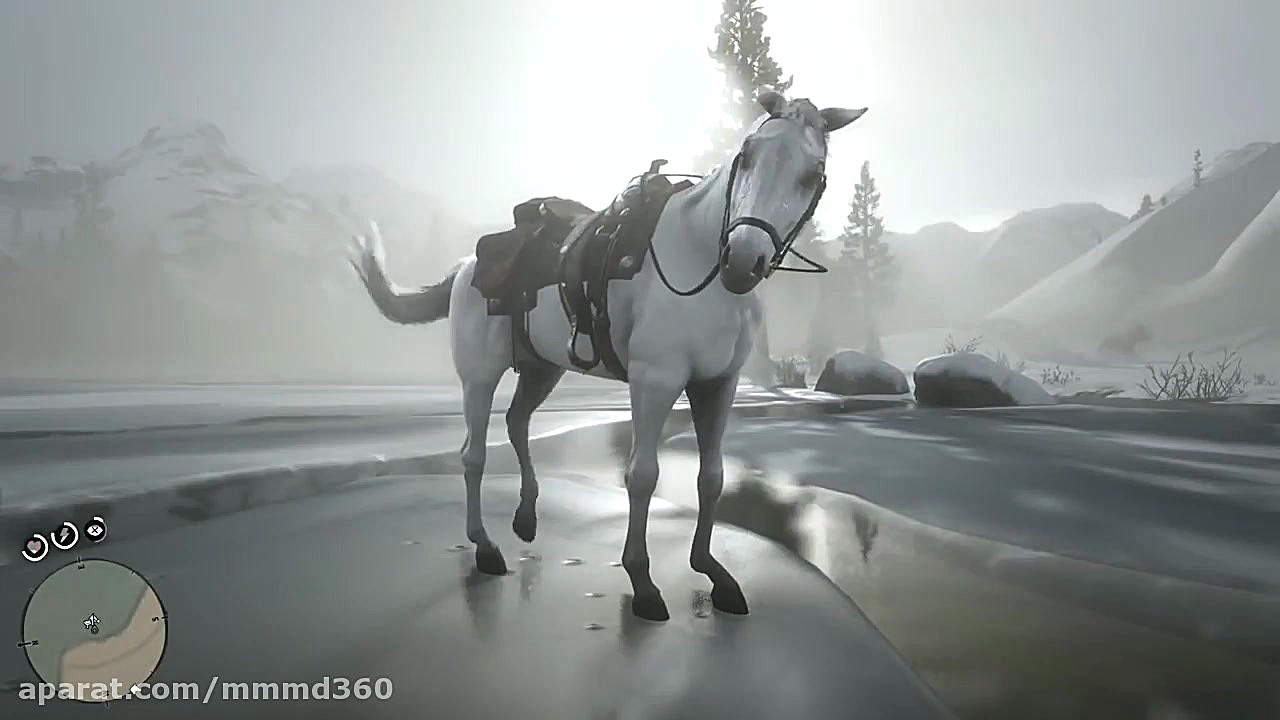مکان اسب عربی سفید در Red Ded...