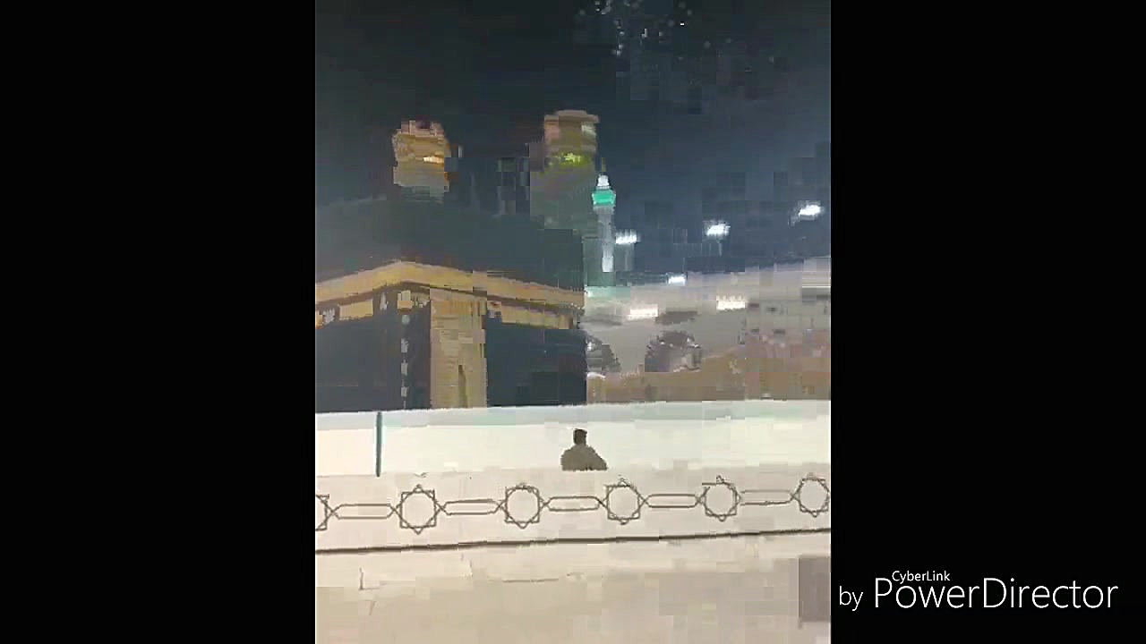 طواف کبوتر ها بعد از تعطیلی طو...