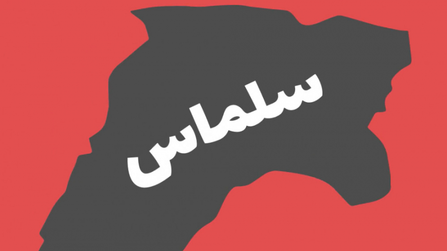 معرفی کلی شهر سلماس