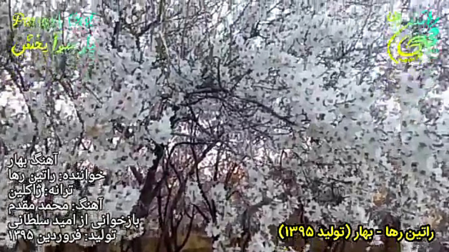 آهنگ شاد و عاشقانه بهار از رات...
