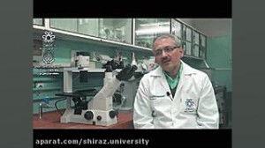 بسته هاي سلامت رواني و اجتماعي...