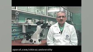 بسته هاي سلامت رواني و اجتماعي...