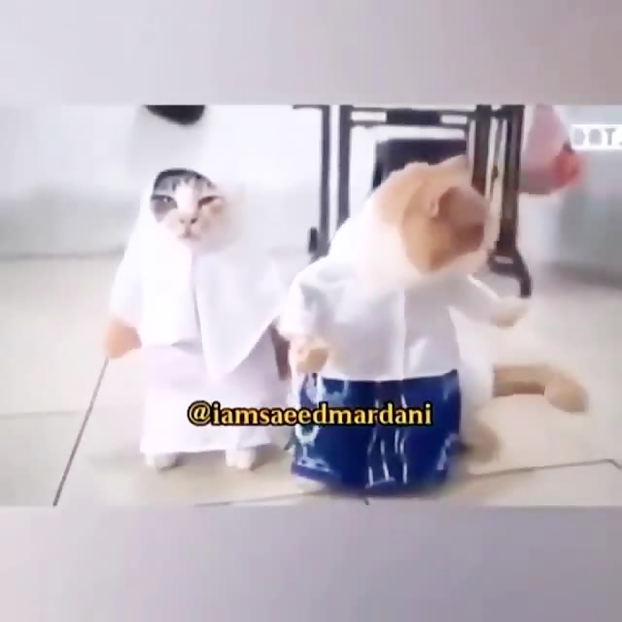 صداگذاری عالی