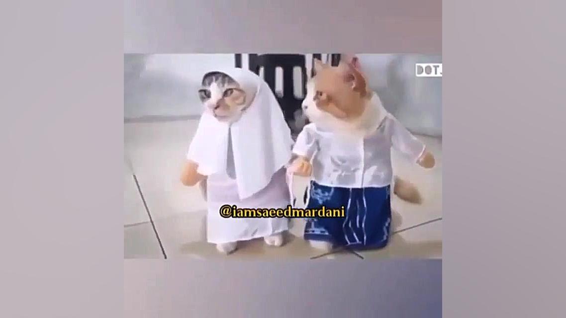 صداگذاری عالی