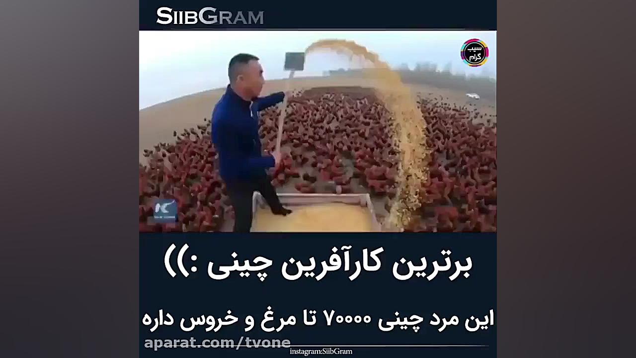 برترین کار آفرین چینی