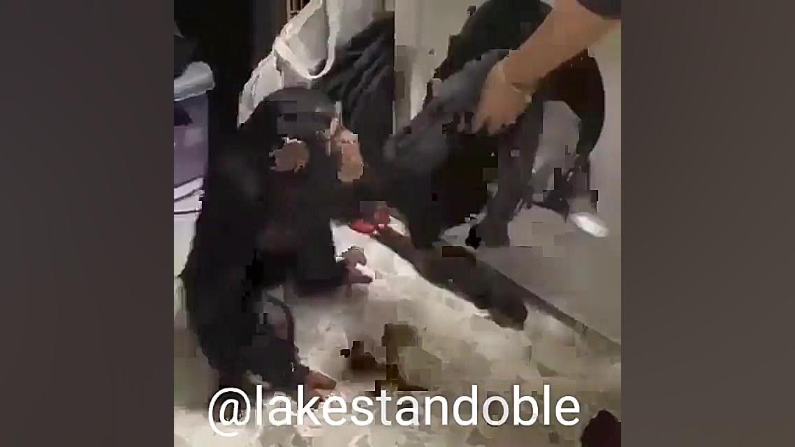 میمون عصبانی از دست چینی ها