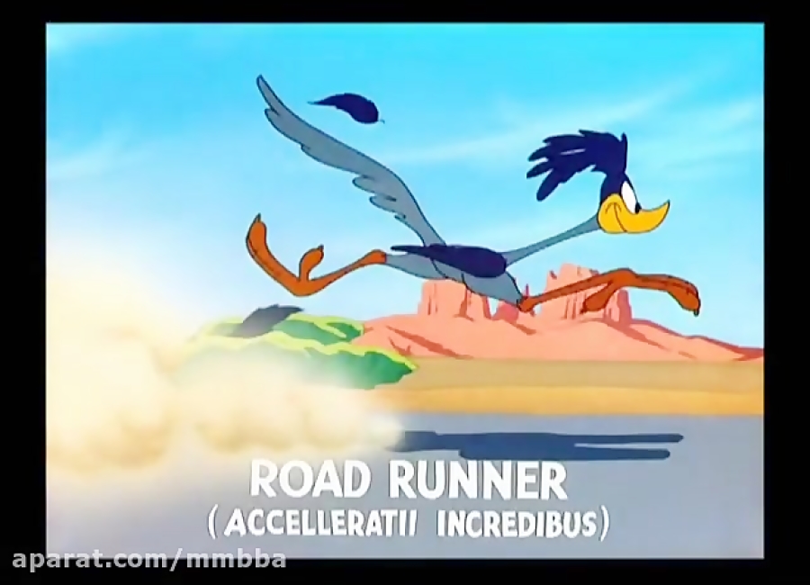 کارتون Road Runner and Coyote...