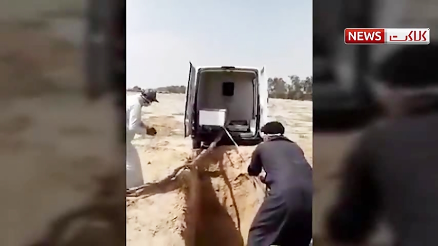 نحوه دفن یک فوتی مبتلا به کرون...