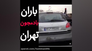 باران بادمجان در ایران