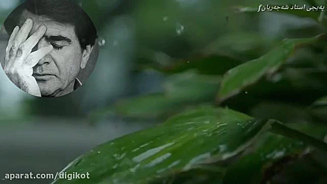 استاد محمدرضا شجریان  بوی بارا...