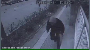 فرار از بادمجان در تهران