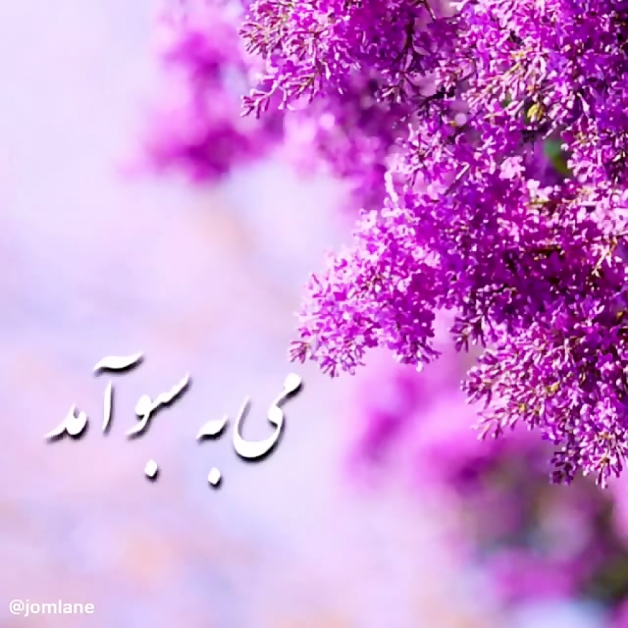 آهنگ شاد بهاری