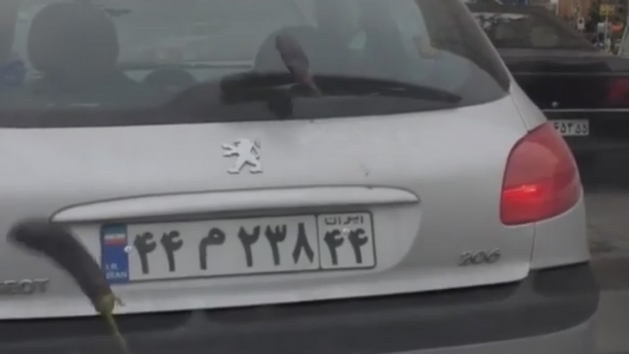 بارش باران بادمجان در تهران بر...