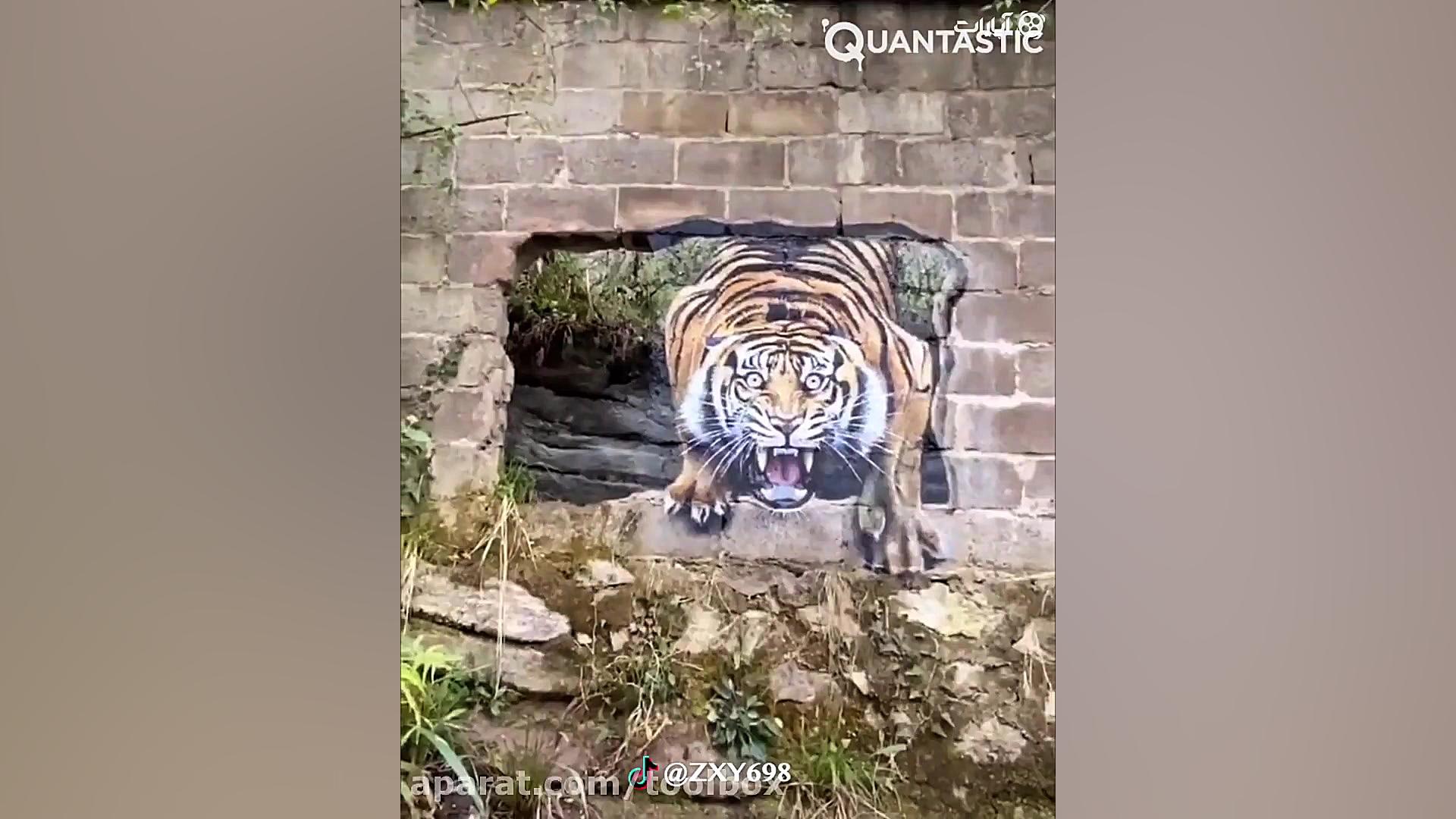 وقتی هوش و استعداد باهم یه جا...