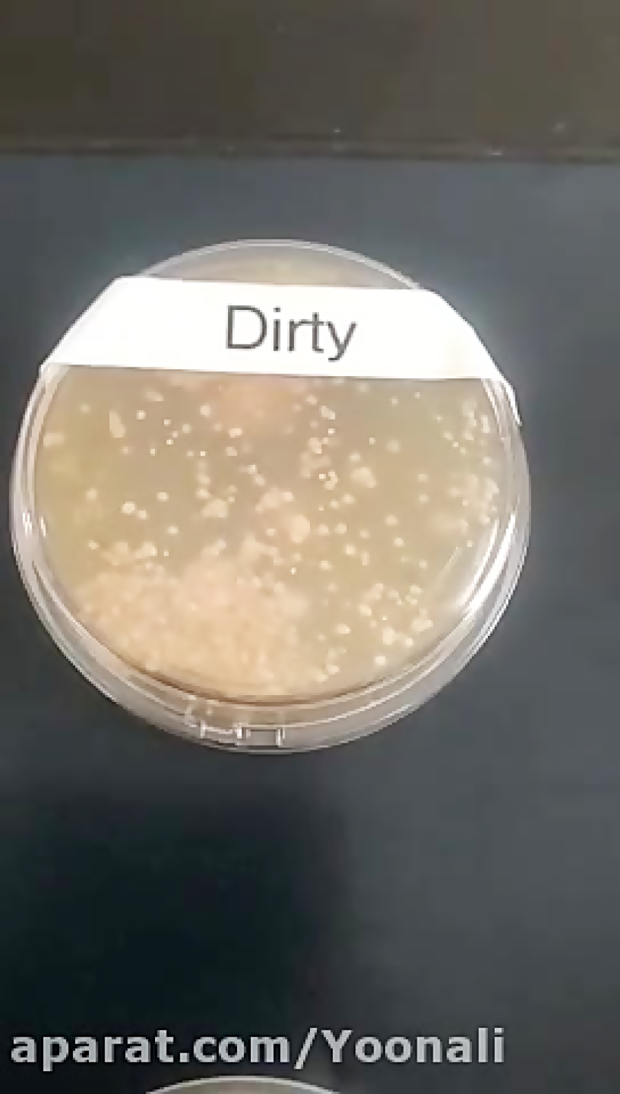 شست و شوی دست کرونایی با محلول...