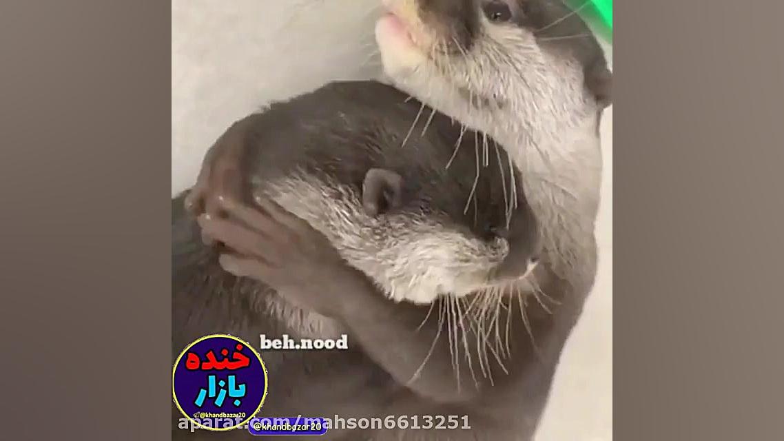 عوارض قرنطینه از کرونا