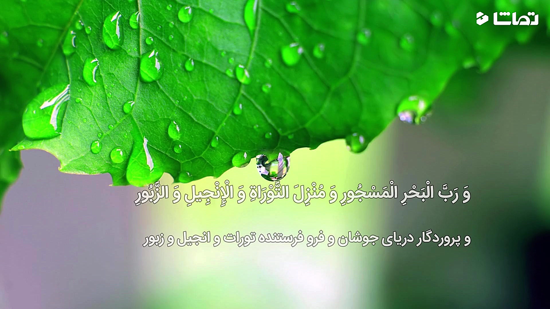 دعای عهد راه یاوری امام زمان(ع...