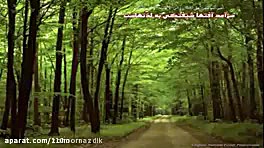 استاد رائفی پور:ذوالقرنین