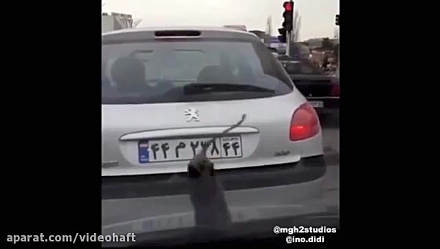 پشت صحنه ساخت ویدئوی بارش بادم...