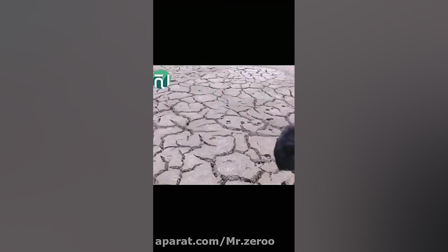 ببینید چجوری از زیر زمین ماهی...