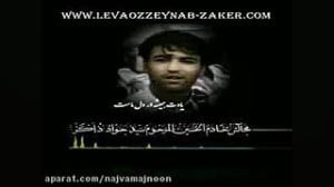 سید جواد ذاکر  کمتر شنیده شده
