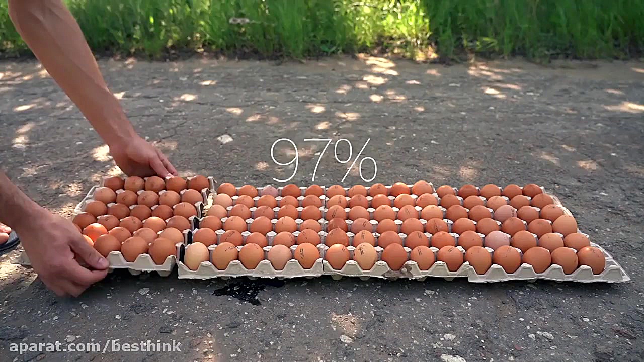 رد شد ماشین روی 400 عدد تخم مر...