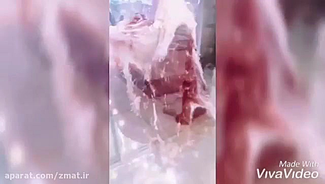 خانه پروتئین بابا سلمان