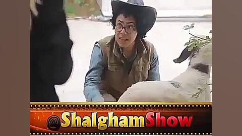 کلیپ خنده دار خفن . گوسفند نره