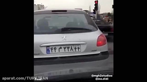 پشت صحنه بارش بادمجان از آسمان